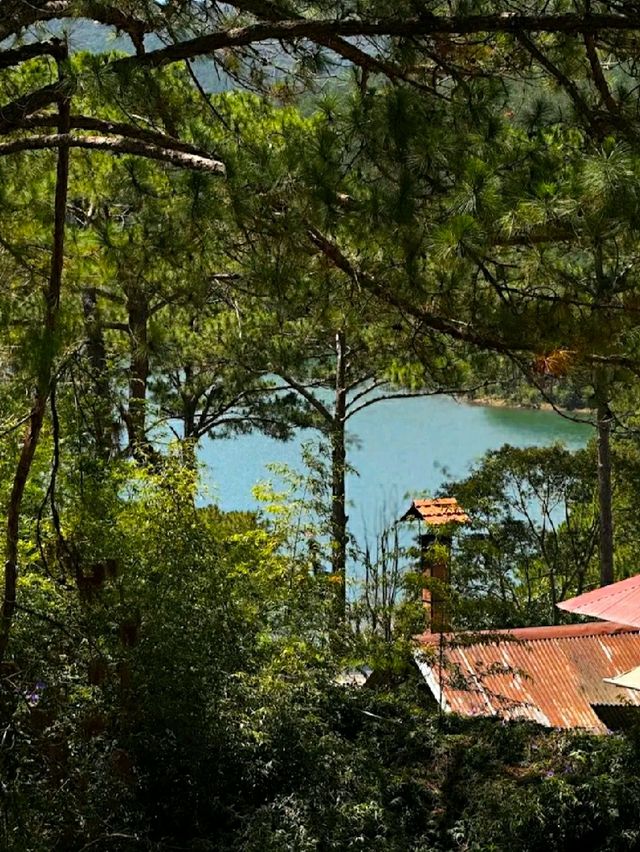 STUNNING BUDDHIST TEMPLE IN DALAT.