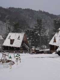 눈 내린 평창, 겨울 낭만 가득했던 실버벨 교회⛪️❄️