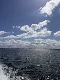 A Relaxing Day by the Waterfront in Geelong