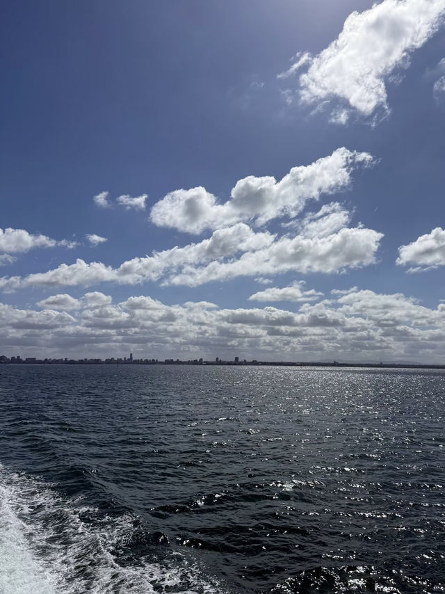 A Relaxing Day by the Waterfront in Geelong