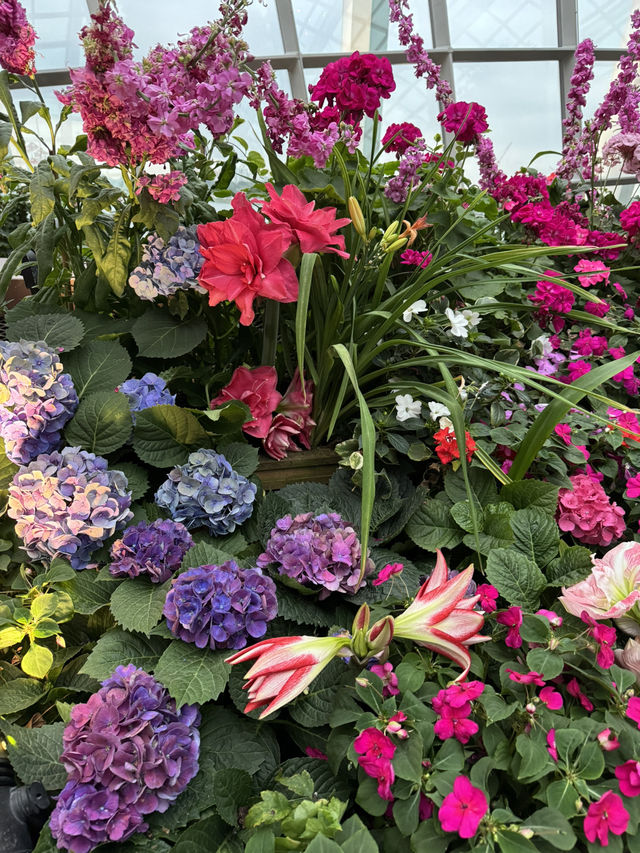 Floral Paradise - Flower Dome Singapore