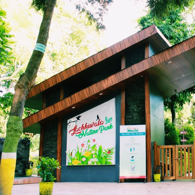 ピクニックや川遊びに最適🏞