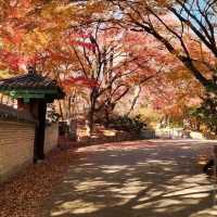 Naejangsan National Park