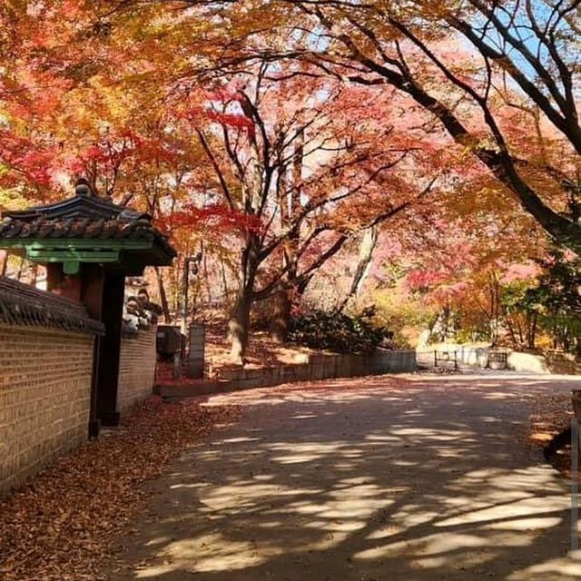 Naejangsan National Park