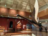郵輪岸上遊～Tasmanian Art Gallery 