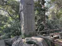 鹿児島一望🤍【城山公園展望台】