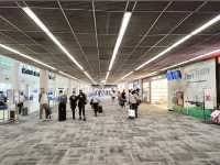 ท่าอากาศยานนานาชาติดอนเมือง