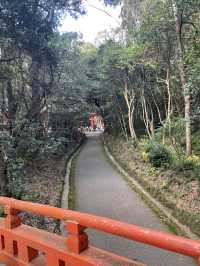 宇佐神宮