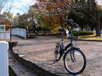 Yamazaki River Four Seasons Road (山崎川四季の道)