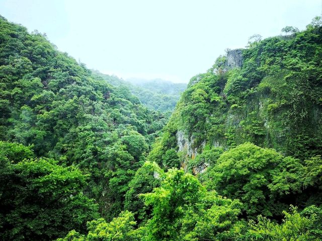 หุบเขามิโน (Minoo Park 箕面公園)