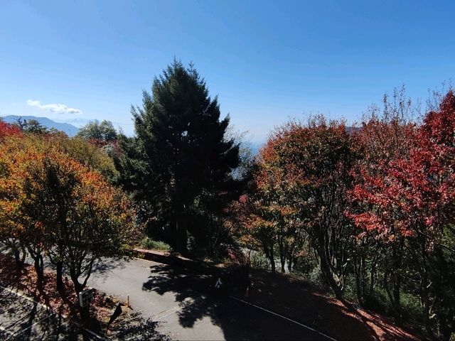大雪山國家公園賞楓