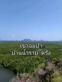 1 Day Trip เที่ยวเขาจมป่า บ้านน้ำราบ จังหวัดตรัง