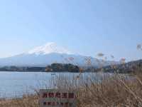 History of the trip to Kawaguchiko (23.03.25)