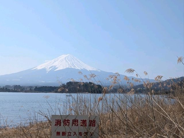 History of the trip to Kawaguchiko (23.03.25)