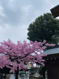 福岡旅遊