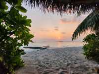 [🇲🇻モルディブ] ワンランク上の贅沢、Milaidhoo Maldivesのビーチフロントヴィラ