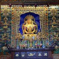西安唯一的藏傳佛教寺院