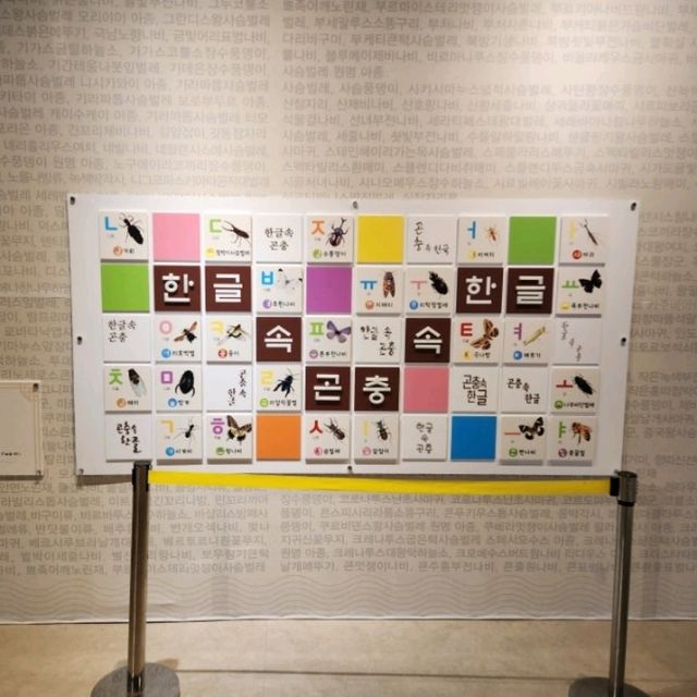 여주 가볼만한 곳 '여주 곤충 박물관'
