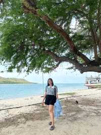 เกาะแสมสาร