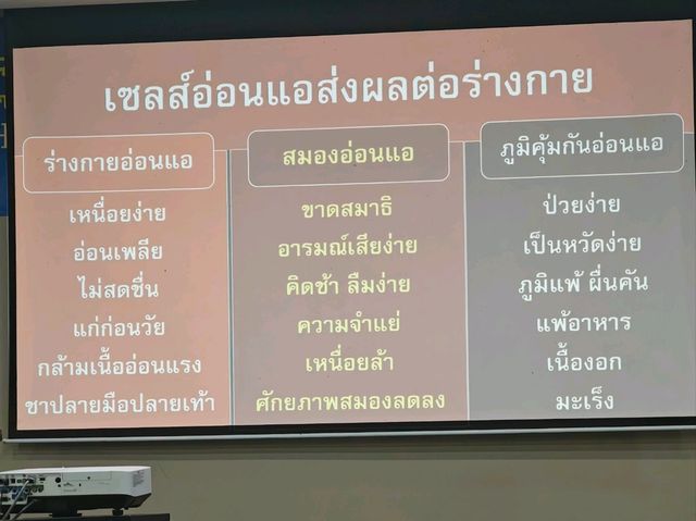 【泰国身心灵全面净化体验】Namfa Garden 五日古法排毒之旅
