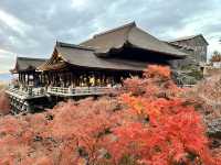 Discovering the Magic of Kiyomizu-dera ✨ | Kyoto’s Must-Visit Spot for Every Young Explorer