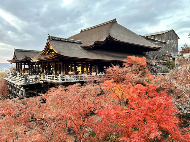 Discovering the Magic of Kiyomizu-dera ✨ | Kyoto’s Must-Visit Spot for Every Young Explorer
