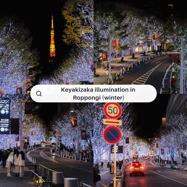 Our Memories of Tokyo 🎏🇯🇵
