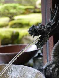 【福井×永平寺】手水舎の上の水晶玉は必見