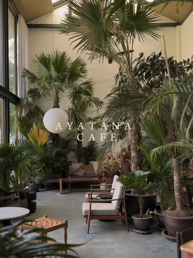 AYATANA.cafe 🤎🧺🌳🪑🍂
