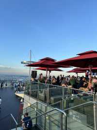 Touch the Sky: SkyPark Observation Deck