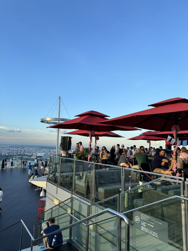 Touch the Sky: SkyPark Observation Deck