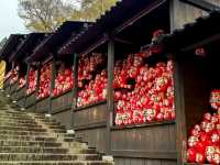 尾勝寺-櫻花與達摩不倒翁，大阪近郊賞櫻。