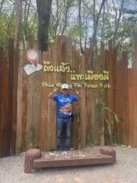 แพะเมืองผี 📍 Phae Mueang Phi Forest Park แพร่