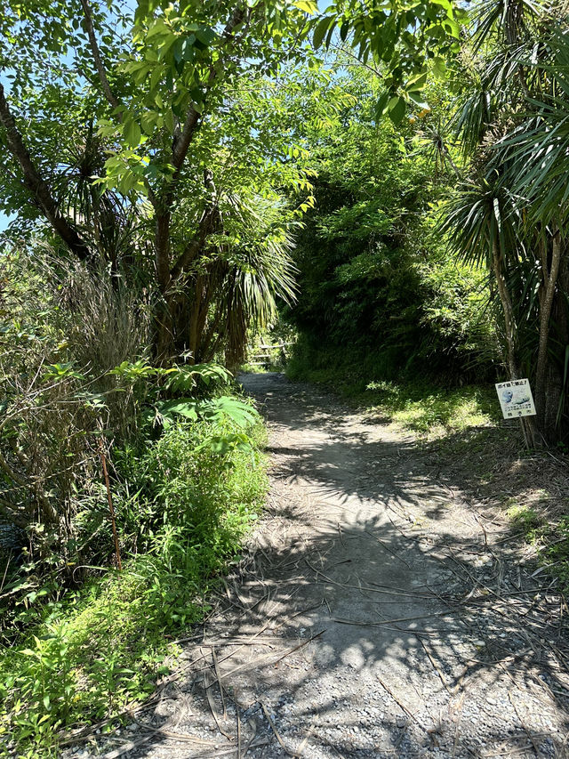 【千葉】鵜原理想郷のハイキングコース 薄暗いトンネルからはじまります。