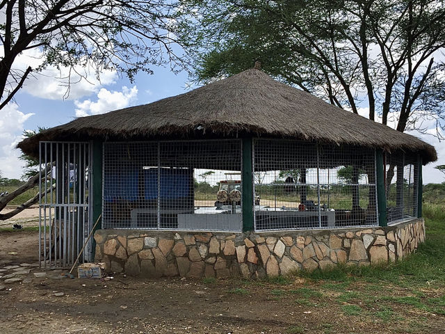 Pimbi Public Campsite｜原始野趣的塞倫蓋提露營體驗