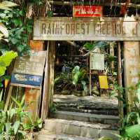 Nature’s Haven at Rainforest Tree House
