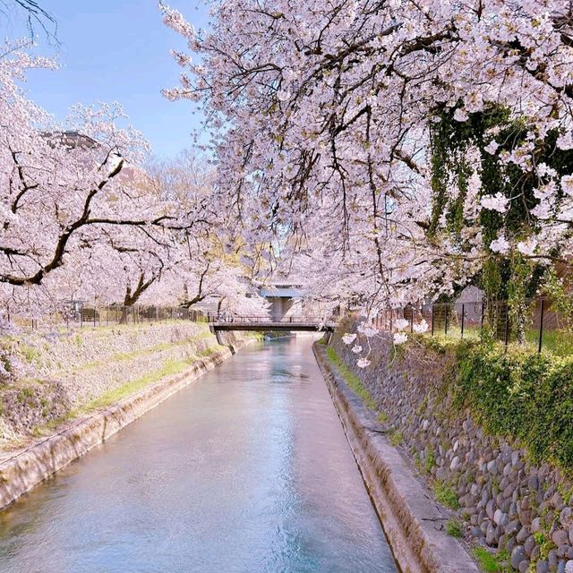 Maebashi Park, Gunma