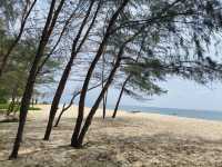 Tanjung Pelindung’s Rocky Canvas – A Tribute to Sea Turtles