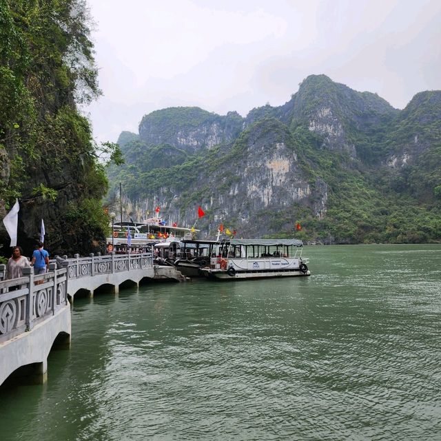【ベトナム】ハノイから絶景ハロン湾🏞