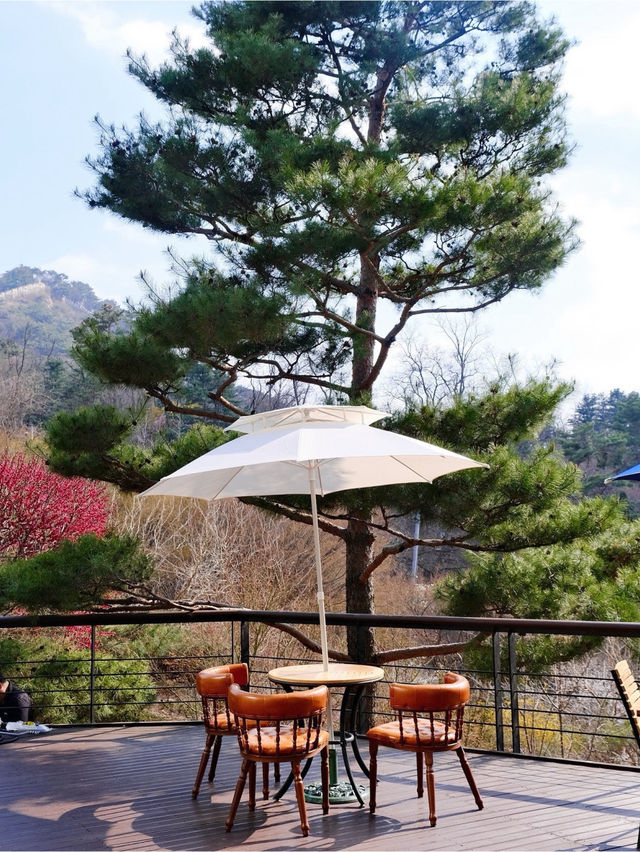 🌸🍹부암동 7번지 제빵소💖