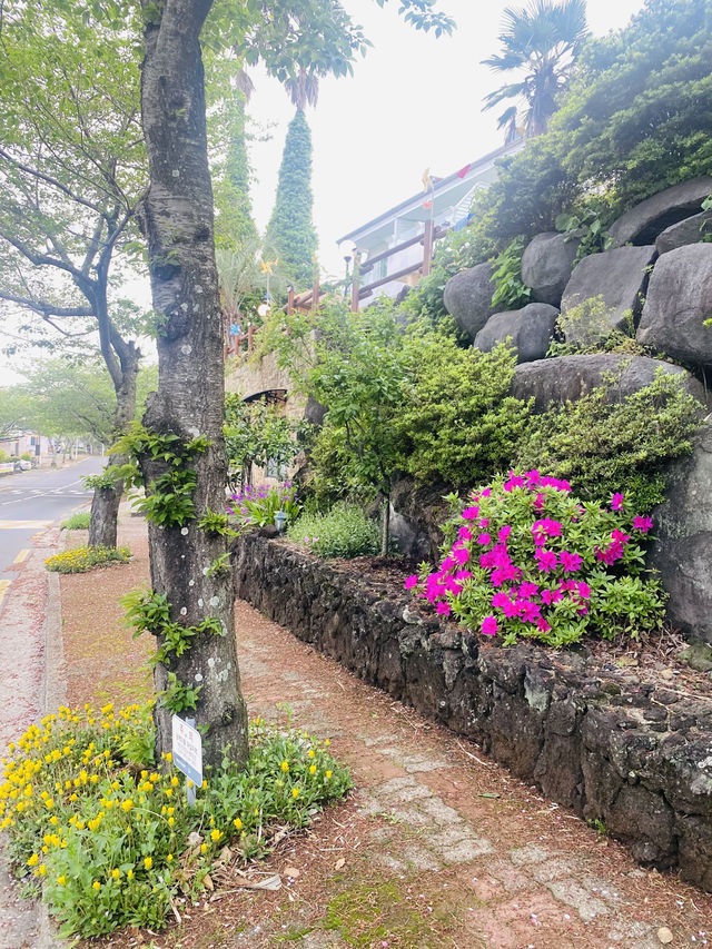 Seogwipo's Flower-Lined Roads in April