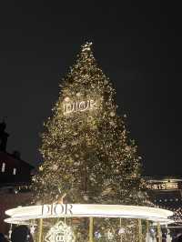 【カナダ】トロントで過ごすクリスマス