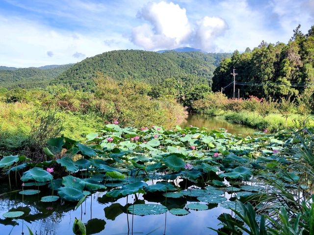 #雙連埤-宜蘭縣員山鄉