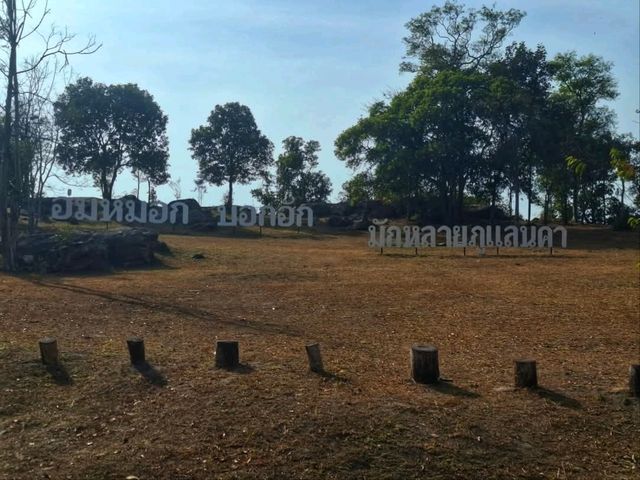 ผาหัวนาค ชัยภูมิ