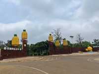 湛江南極村