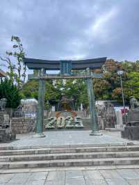 【花に囲まれて学問祈願】防府天満宮　山口