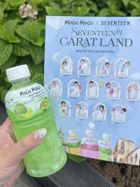 รีวิว SEVENTEEN in CARAT LAND 2024