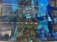 Chongqing: A Vertical Dream Draped in Mist, Stone and Fire