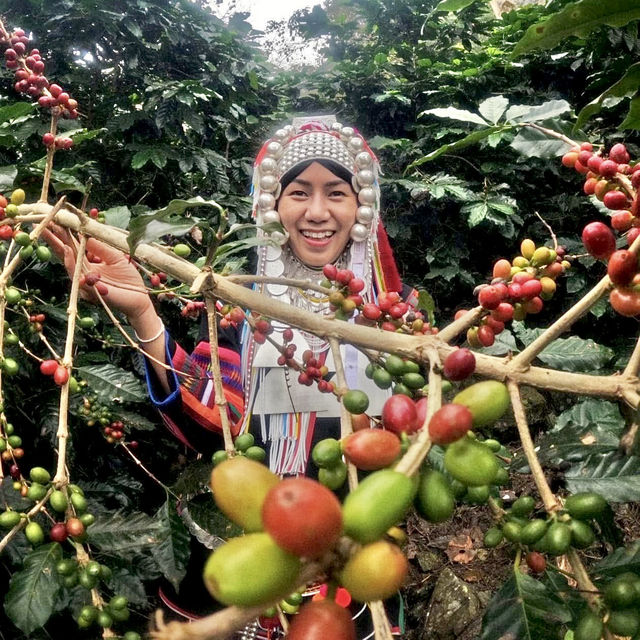 LEEPEE FARM ฟาร์มกาแฟพิเศษ ณ ดอยช้าง