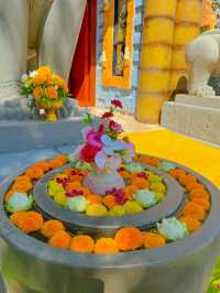 เหตุผลที่ควรไป “วัดป่าภูผาสูง”  จังหวัดนครราชสีมา